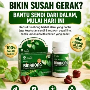 Kapsul Daun Binahong - NSY