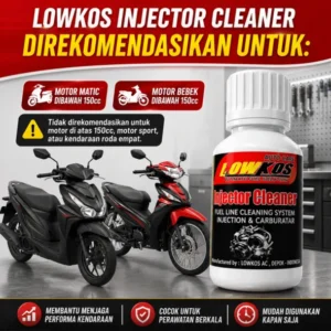 Lowkos Injector Cleaner - BST